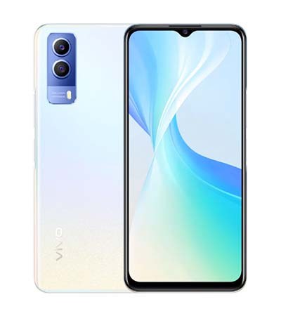 1Vivo-T1X